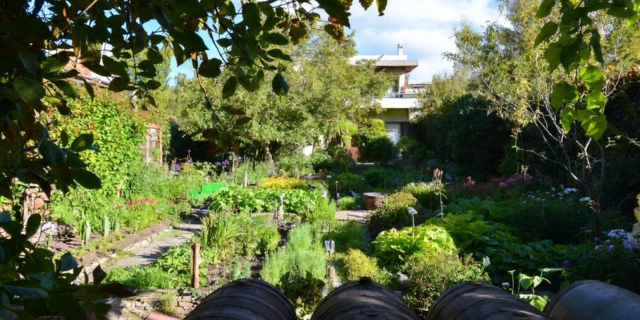 Eco-friendly Argentine garden using rainwater collection systems and sustainable landscaping