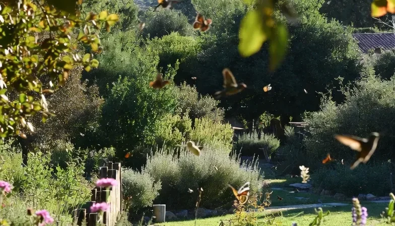 Sustainable Argentine garden filled with native plants, flowers, and natural wildlife.