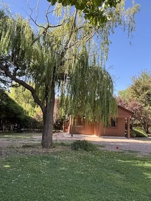 HOME WITH GUEST HOUSE ON 27 ACRES WITH LEVELED FARMLAND
