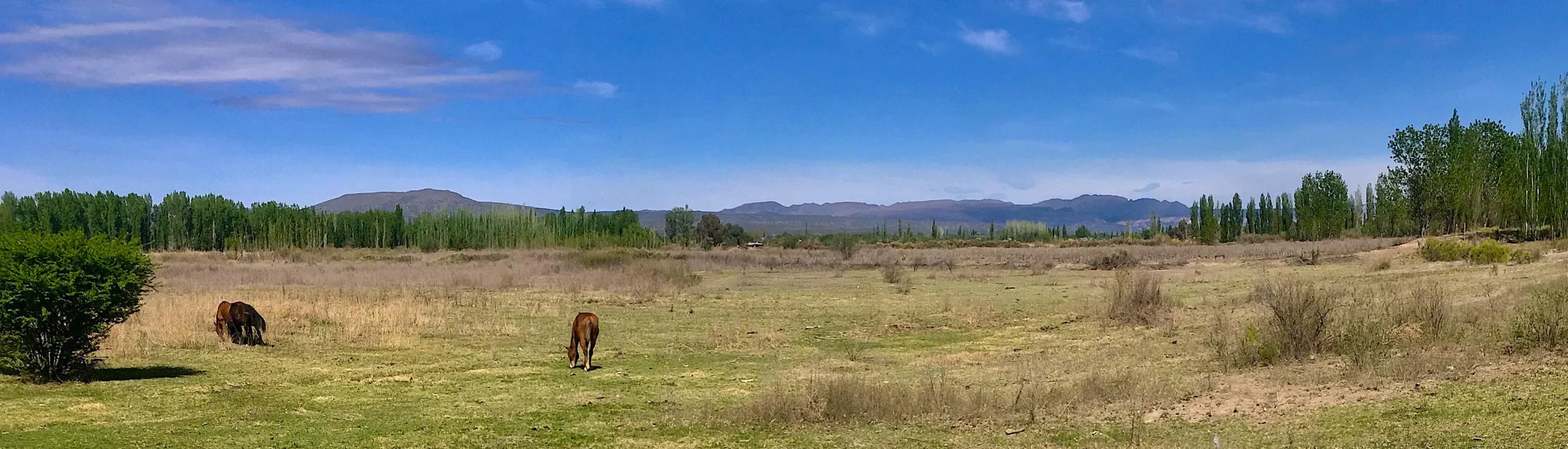 31-Acre Farm with View of the Sierra Pintadas (Painted Hills) Good Soil, Great Water