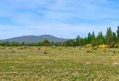 54 Acres of Prime Level Farmland with Great View