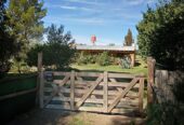 GORGEOUS VINEYARD PROPERTY! 24-Acre Farm with Pool Home and 20 Acres in Vineyard
