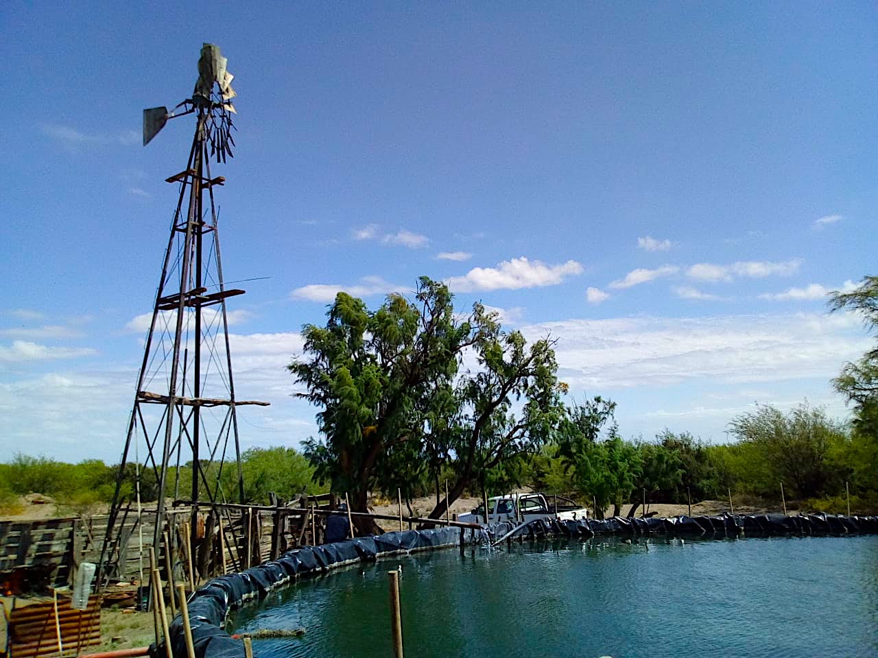 25,000 ACRES FOR CATTLE OR DEVELOPMENT