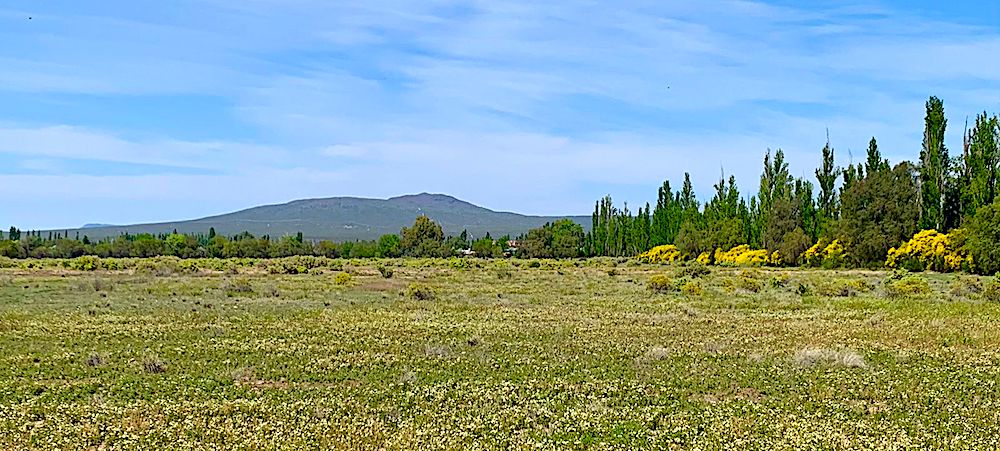 54 Acres of Prime Level Farmland with Great View