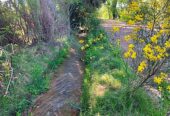 54 Acres of Prime Level Farmland with Great View