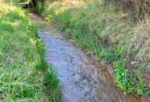 54 Acres of Prime Level Farmland with Great View