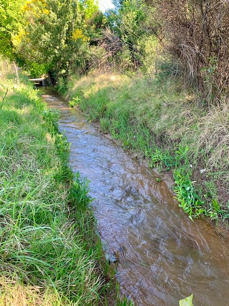 54 Acres of Prime Level Farmland with Great View