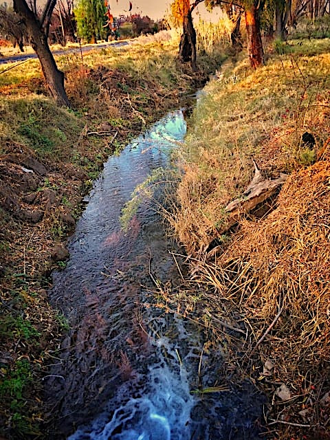 400 ACRES WITH HOME
