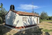 25-Acre Farm with Two Homes and Peach Orchard