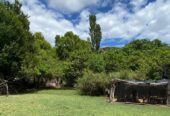 MINERAL SPRINGS OASIS IN THE DESERT! — — — 2,200-Acre Campo with Surging Water