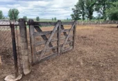 Lush 90-Acre Farm Producing Corn, Alfalfa, Tomatoes with Cattle Corral