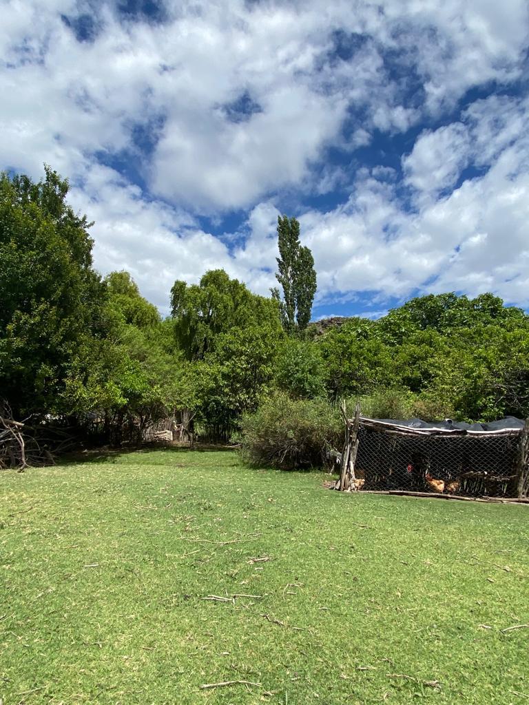 MINERAL SPRINGS OASIS IN THE DESERT! — — — 2,200-Acre Campo with Surging Water