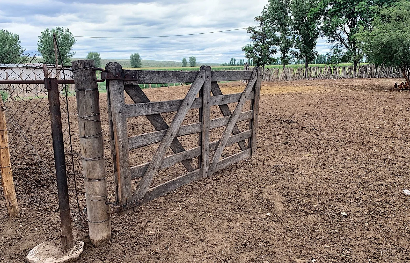Lush 90-Acre Farm Producing Corn, Alfalfa, Tomatoes with Cattle Corral
