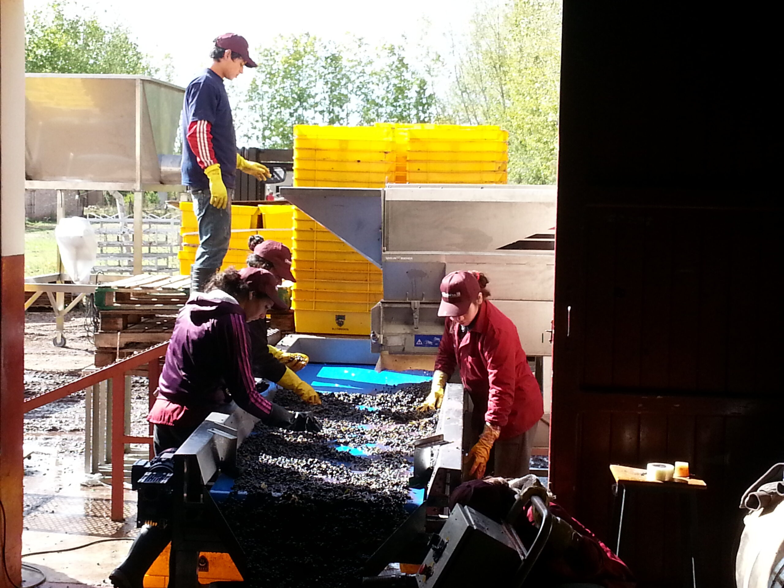 VALLE DE UCO! Top Premium 114-Acre Wine Estate, Award-Winning Wine & Exports with Plans for Luxury Resort