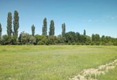 28 ACRES IN VINEYARD & ORCHARD Boutique Wine-Making Operation with House and Barns