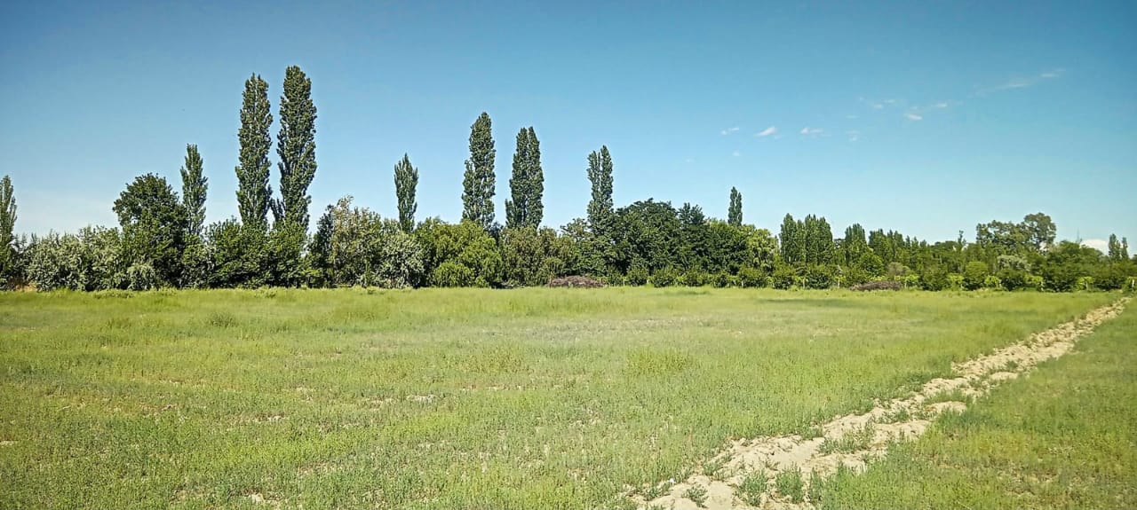 28 ACRES IN VINEYARD & ORCHARD Boutique Wine-Making Operation with House and Barns