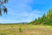 54 Acres of Prime Level Farmland with Great View