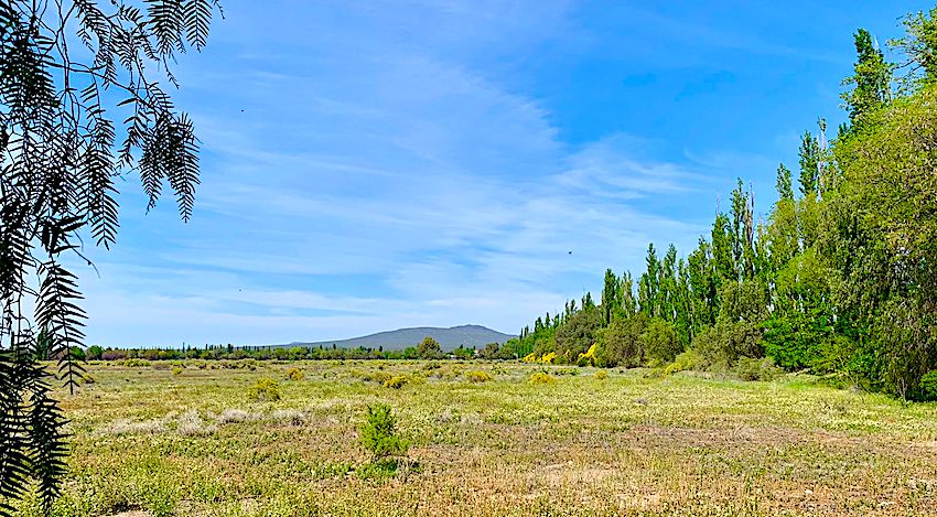 54 Acres of Prime Level Farmland with Great View
