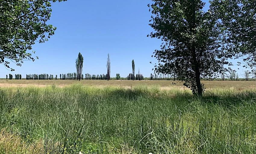 4,690-Acre Ranch in Alfalfa & Pasture for Cattle
