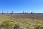 250-Acre Ranch with Owner’s Home for Cattle or Agriculture