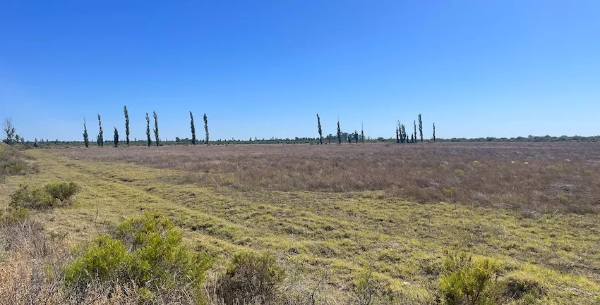 250-Acre Ranch with Owner’s Home for Cattle or Agriculture