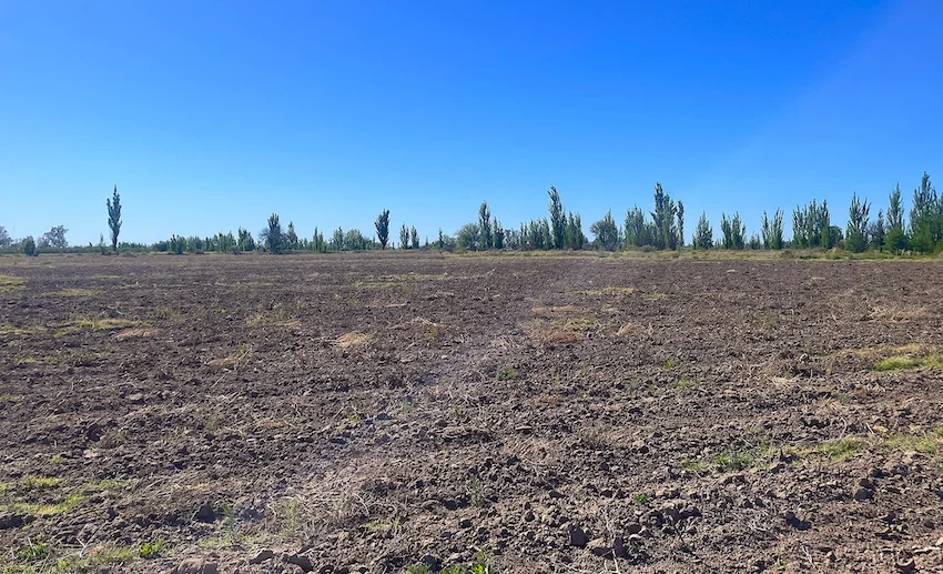 250-Acre Ranch with Owner’s Home for Cattle or Agriculture