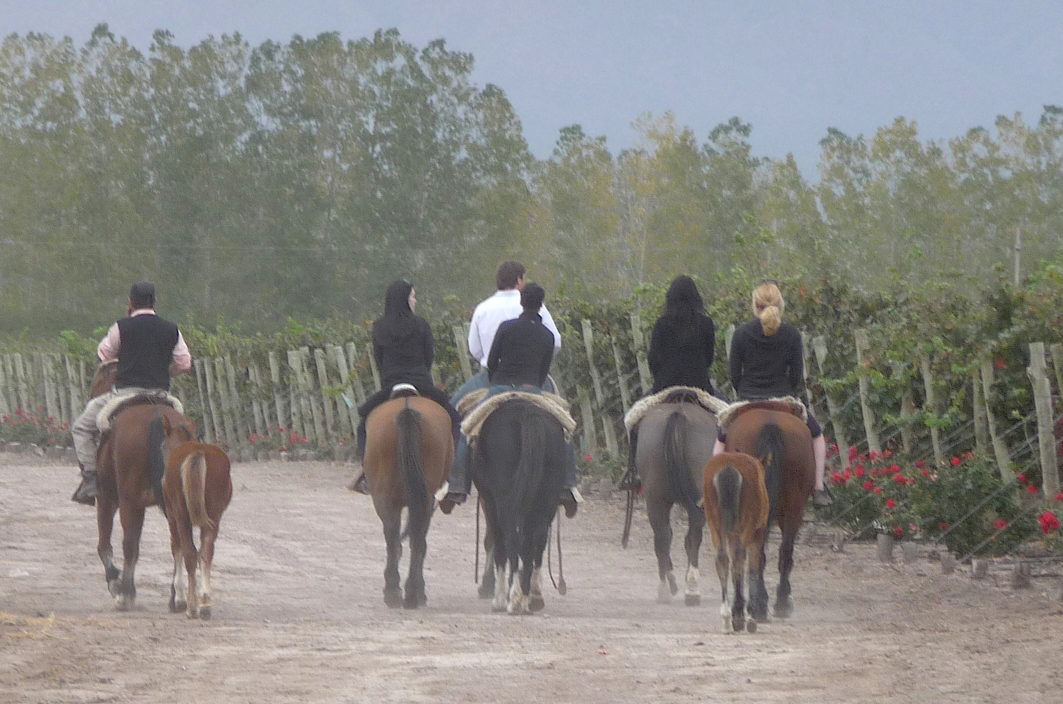 VALLE DE UCO! Top Premium 114-Acre Wine Estate, Award-Winning Wine & Exports with Plans for Luxury Resort