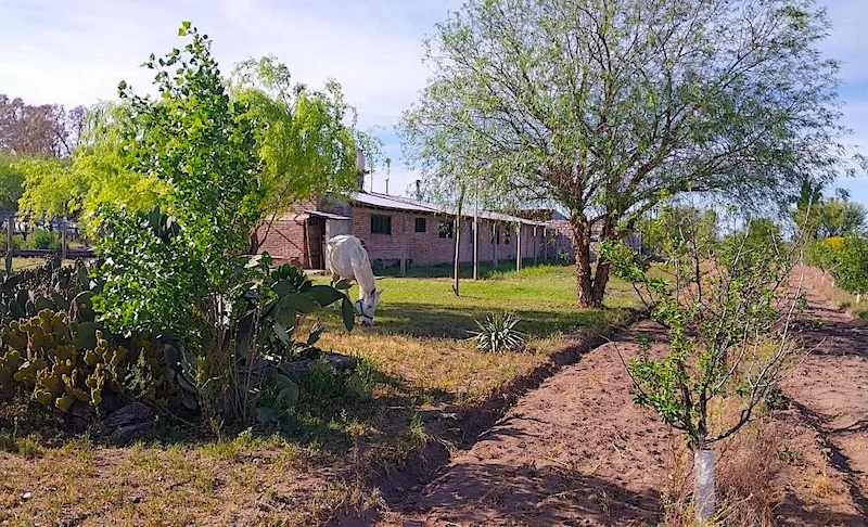 250-Acre Ranch with Owner’s Home for Cattle or Agriculture