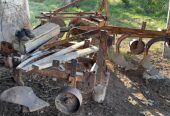 25-Acre Farm with Two Homes and Peach Orchard