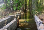 31-Acre Farm with View of the Sierra Pintadas (Painted Hills) Good Soil, Great Water