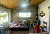 20-Acre Farm with Boutique Olive Oil Factory, Organic Cosmetic Company, Tourist Cabins & Orchard