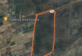 850 ACRES FOR CATTLE, AGRICULTURE OR DEVELOPMENT!