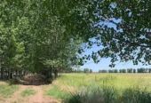 4,690-Acre Ranch in Alfalfa & Pasture for Cattle