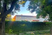 25-Acre Farm with Two Homes and Peach Orchard
