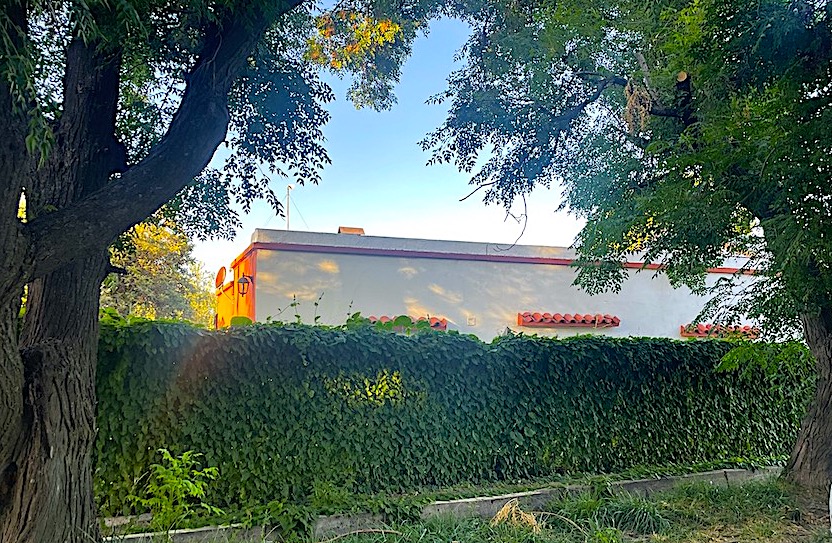 25-Acre Farm with Two Homes and Peach Orchard