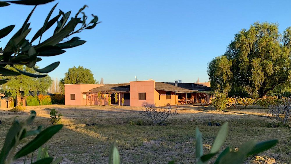 BEAUTIFUL POOL HOME ON 66 ACRES! Tourism Income Property with Olive Grove & Guest House