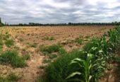 PRICE INCLUDES ALL CLOSING COSTS! 25 Acre Farm with Home & Pool, 8.5 Acres of Malbec Vineyard, Tourist Area Very Near Airport