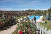 GORGEOUS VINEYARD PROPERTY! 24-Acre Farm with Pool Home and 20 Acres in Vineyard