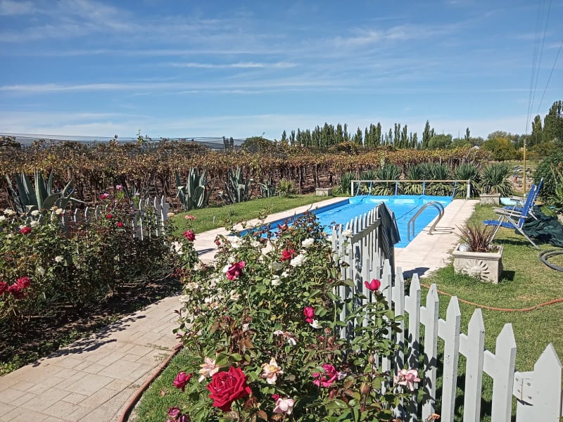 GORGEOUS VINEYARD PROPERTY! 24-Acre Farm with Pool Home and 20 Acres in Vineyard