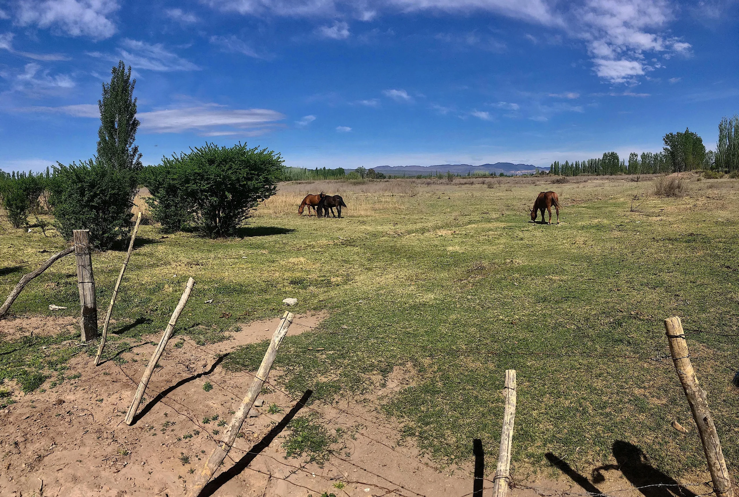 31-Acre Farm with View of the Sierra Pintadas (Painted Hills) Good Soil, Great Water