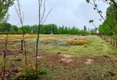 MALBEC VINEYARD ON 12 ACRES 5 Acres of Grapes Under Netting Tourist Zone