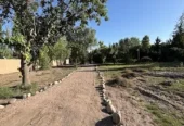 HOME WITH GUEST HOUSE ON 27 ACRES WITH LEVELED FARMLAND