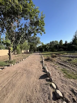 HOME WITH GUEST HOUSE ON 27 ACRES WITH LEVELED FARMLAND