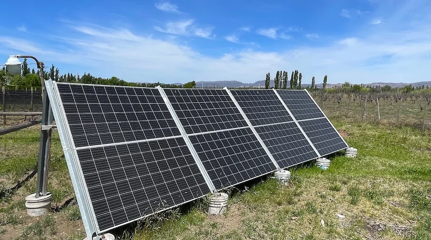 Beautiful Forested Tourism Finca with Cabanas, Pool & Vineyard