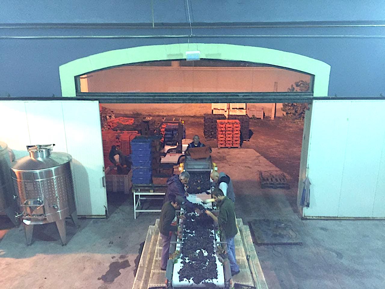 AWARD-WINNING PREMIUM WINERY! 500,000 Liter Capacity & Restaurant Almost Completed