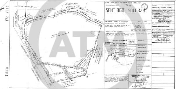 50 ACRES OF RAW UNDEVELOPED CAMPO LAND WITH VIEWS OF THE ANDES PRE-CORDILLERAS