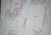 850 ACRES FOR CATTLE, AGRICULTURE OR DEVELOPMENT!