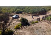 25,000 ACRES FOR CATTLE OR DEVELOPMENT