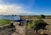 75-ACRE FARM WITH CUTE HOME Alfalfa, Cattle Corral, 10,000-sq.ft. Barn