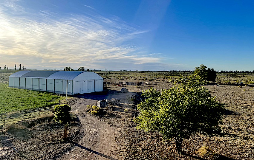 75-ACRE FARM WITH CUTE HOME Alfalfa, Cattle Corral, 10,000-sq.ft. Barn